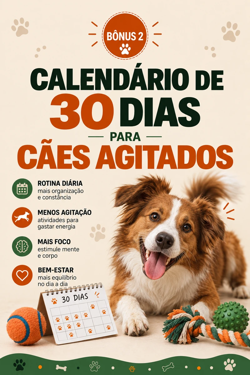 Capa: Calendário de 30 Dias para Cães Agitados