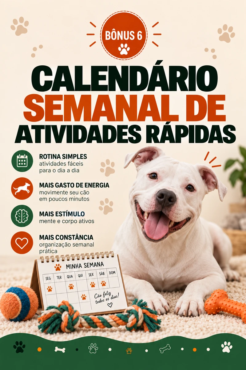Capa: Calendário Semanal de Atividades Rápidas